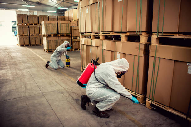 Best Exterminator Services  in Inkster, MI