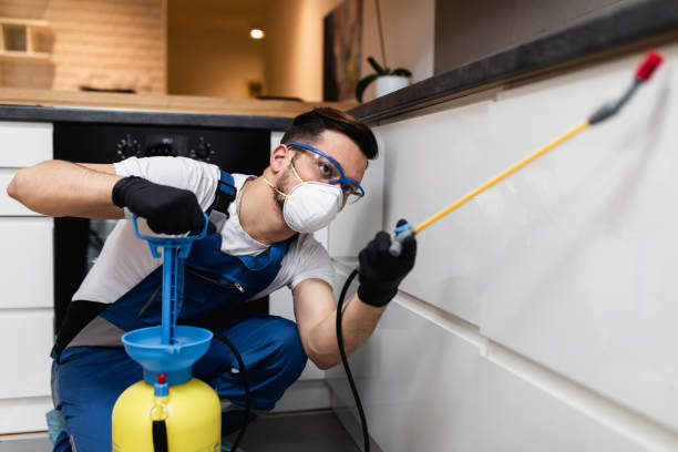 Best Affordable Pest Control Services  in Inkster, MI