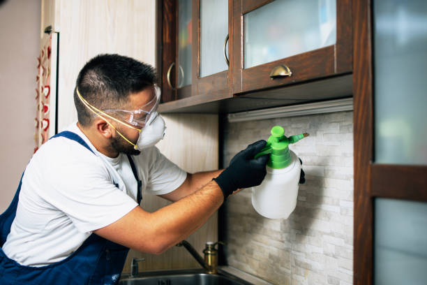 Professional Pest Control in Inkster, MI