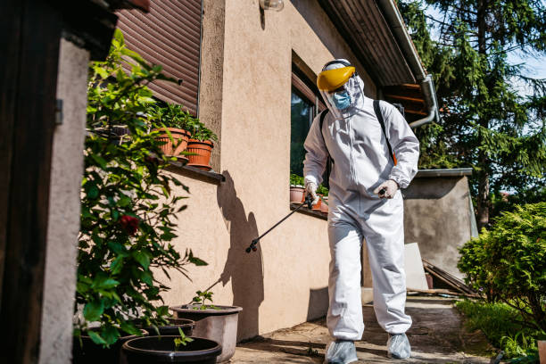 Best Best Pest Control Companies  in Inkster, MI