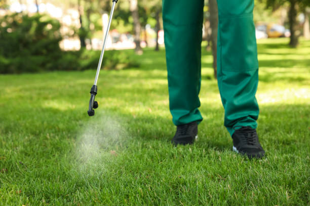 Best Pest Control Treatment  in Inkster, MI