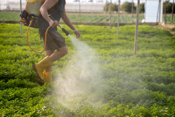 Best Ant Control Services  in Inkster, MI