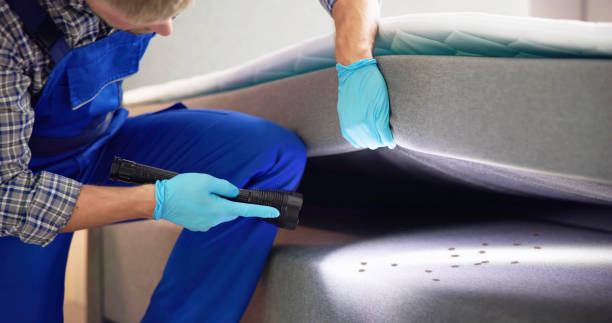 Best Wildlife Control Services  in Inkster, MI