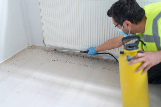 Best Residential Pest Control  in Inkster, MI