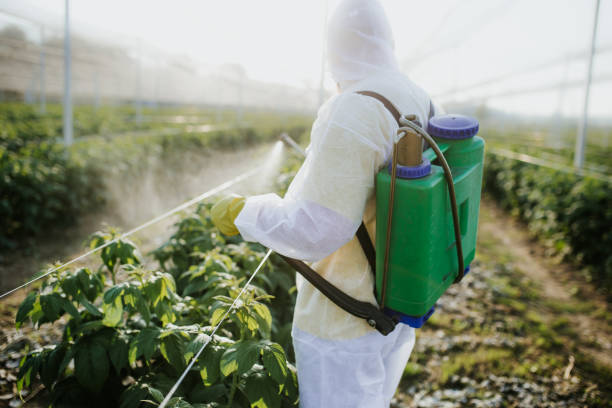 Best Insect Control  in Inkster, MI